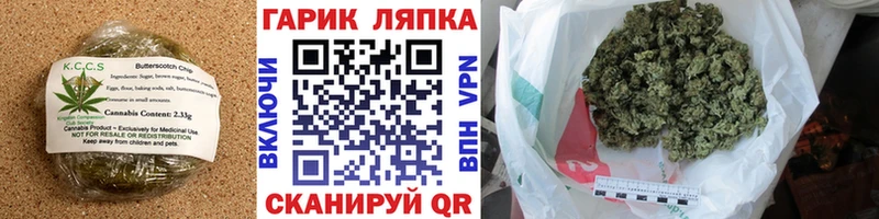 Cannafood конопля Полтавская