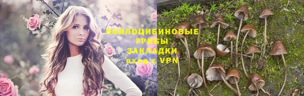 ПСИЛОЦИБИНОВЫЕ ГРИБЫ Нефтекумск