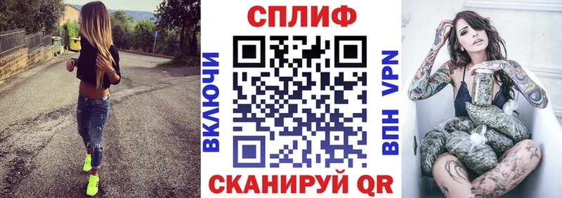 Конопля семена  закладки  Полтавская 